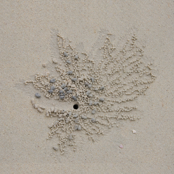 螃蟹洞的海景图片下载