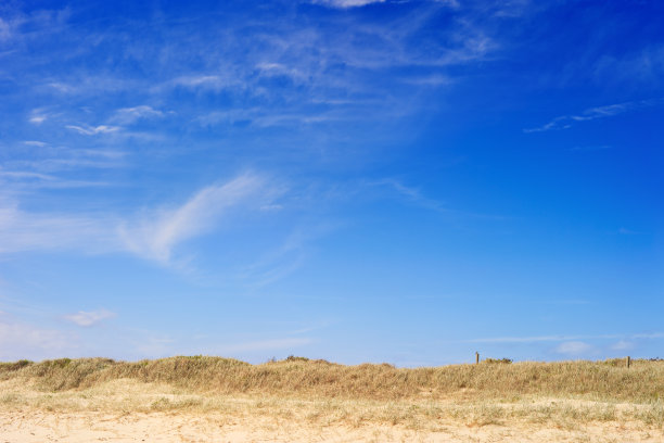 沙丘草与天空图片下载