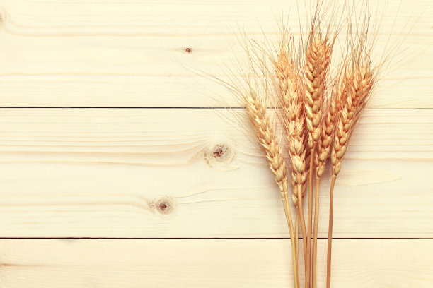 小麦照片素材ID：152692252