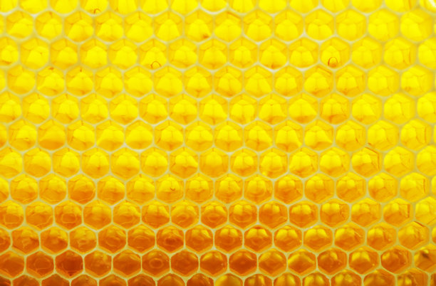 自然蜂窝背景图片下载