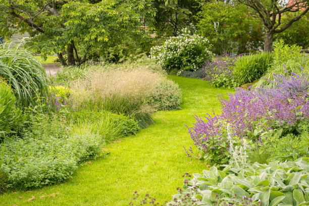 花园小径和花坛素材图片