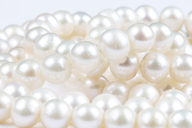 白色珍珠图片下载