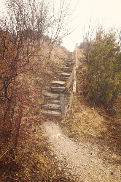 通往天空的木制楼梯图片下载