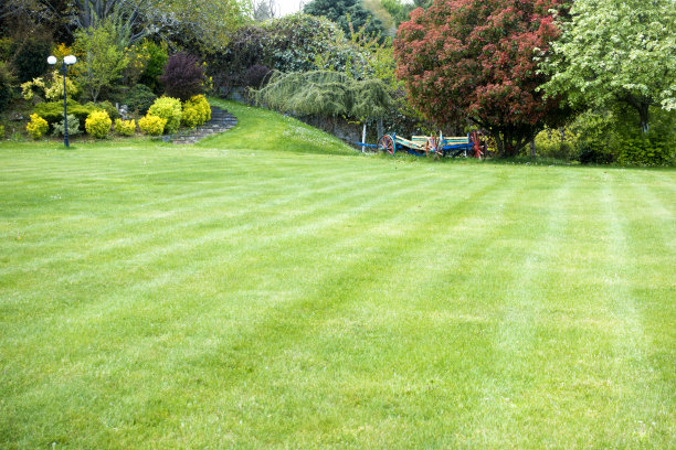 草坪图片素材ID：152733520