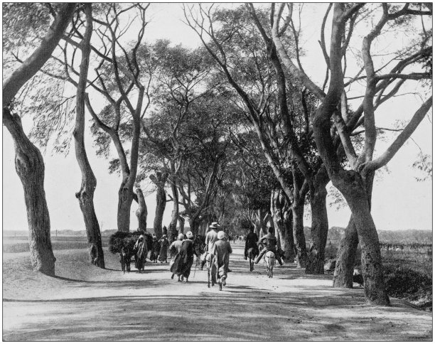 圣地、埃及和中东的古董照片：通往金字塔的路图片下载