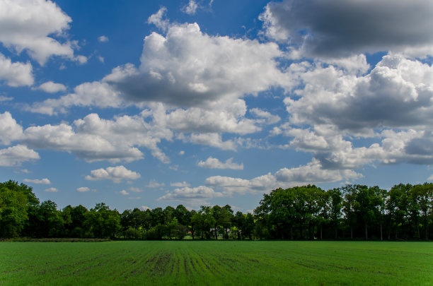 Veluwe的荷兰风景图片下载