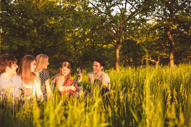 朋友们在草地上，女人在弹吉他图片下载