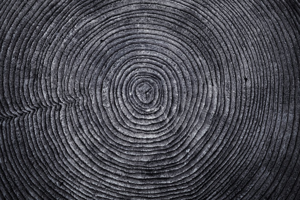 老木环纹图片下载