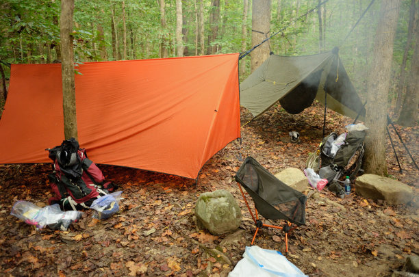 树木繁茂的营地里挂着吊床图片下载