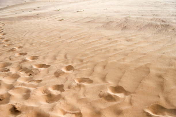 沙丘上的脚印图片下载