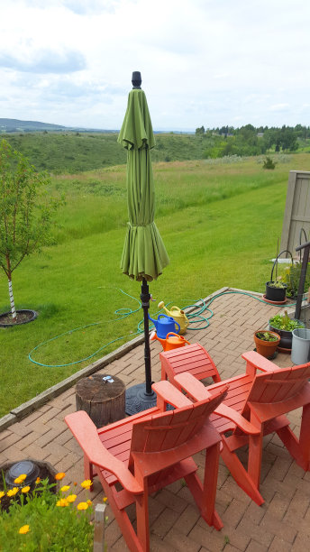 图片完美的庭院美丽和放松图片下载