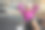 身体素质图片素材ID：152766424