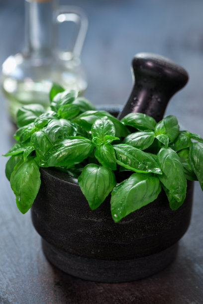 新鲜罗勒臼图片下载