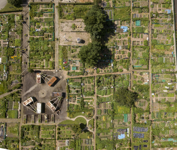 从上面分配图片下载