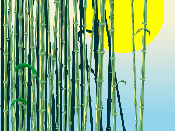 竹子和太阳素材图片
