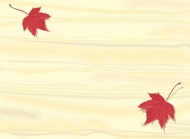 课桌上的枫叶图片下载