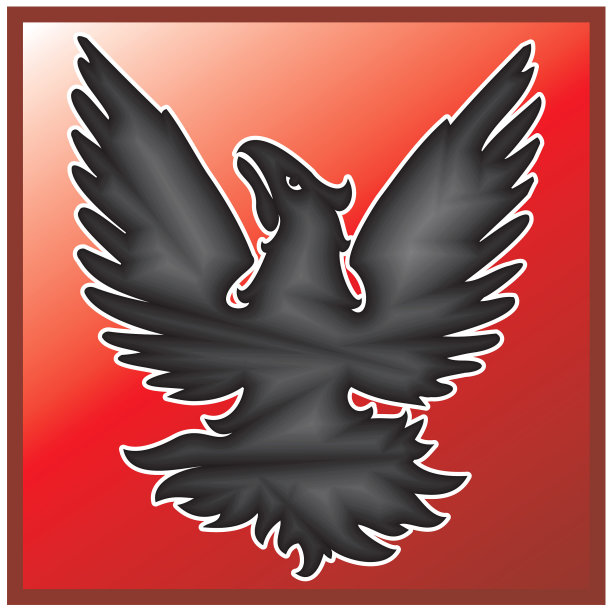 凯尔特人的鹰图片下载