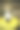 狗朝观众看，嘴里叼着飞盘图片下载