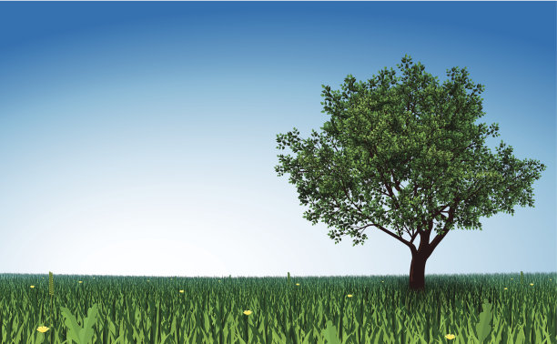 绿野上的树图片下载