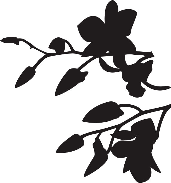 兰花的元素图片下载