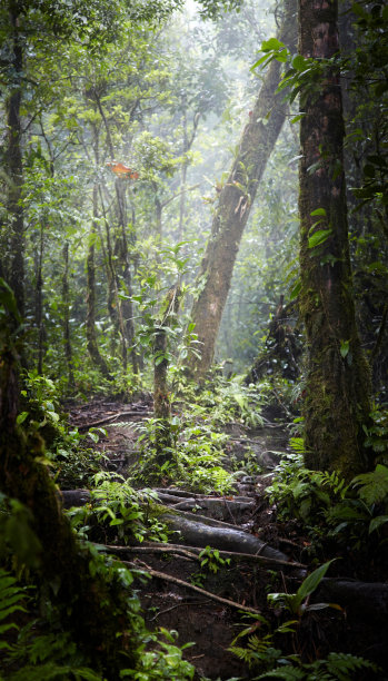 哥斯达黎加图片下载