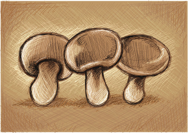 新鲜的蘑菇图片下载