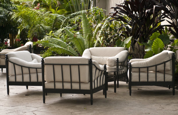 热带的后院图片下载