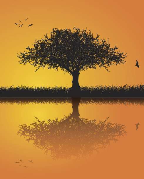 树和日落图片下载