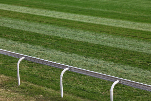 赛马跑道图片下载