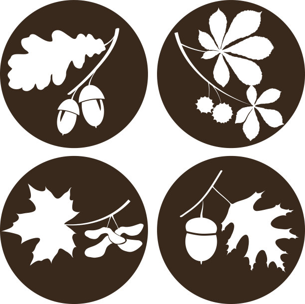 树枝和橡子的圆形图案图片下载