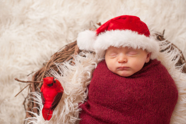 在鸟巢中睡觉的新生儿图片下载
