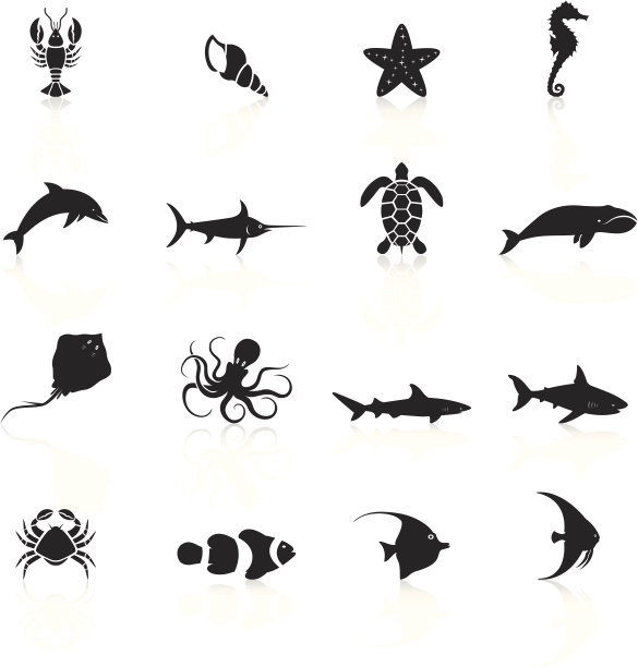 海洋生物-黑色系列图片下载