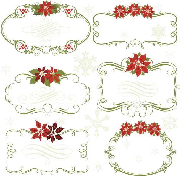 一品红帧图片下载