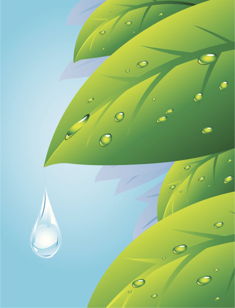 水滴图片下载