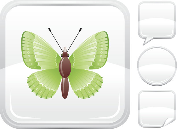 银色按钮上的绿色蝴蝶图标图片下载