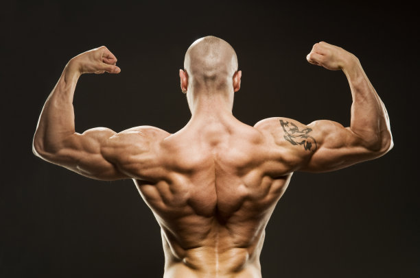 健美姿势-背部二头肌图片下载