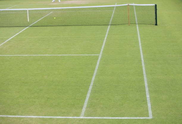 草地网球场的上图图片下载