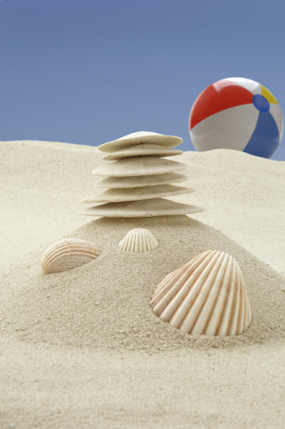 阳光下的乐趣图片下载