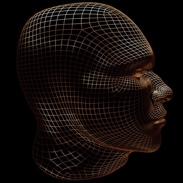 3D -线框头2图片下载