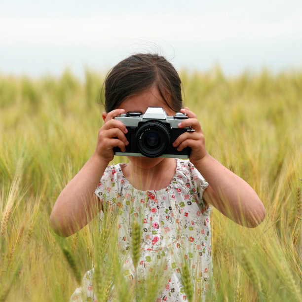 麦田里拿着相机的小女孩图片下载