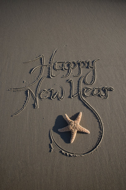 与海星一起在暗沙上祝你新年快乐图片下载