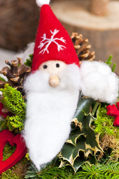 圣诞老人的鲜花节日装饰图片下载