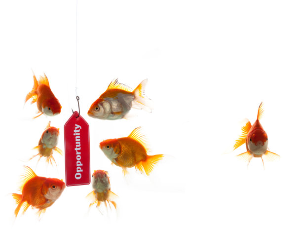 机会的陷阱图片下载