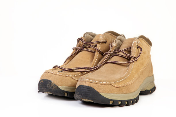 棕色（的）图片下载