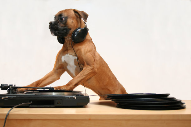 Dj Max在唱盘上播放图片下载