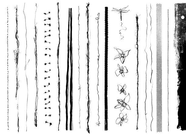 施乐边缘图片下载