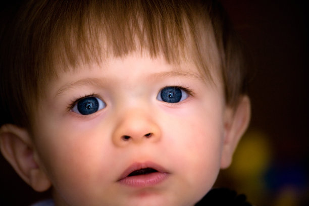 一些新的东西图片下载