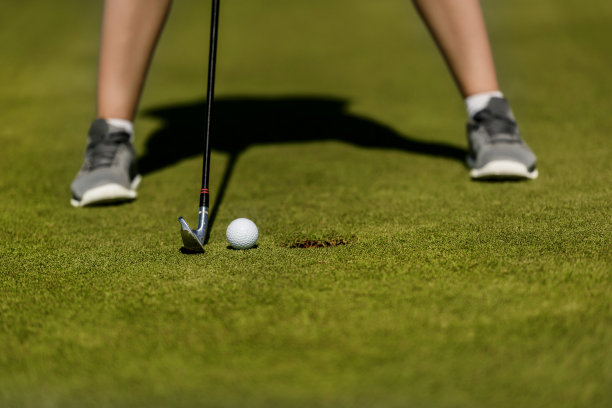 几乎有图片下载