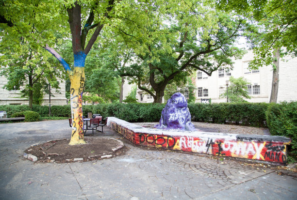 西北大学-岩石分校图片下载