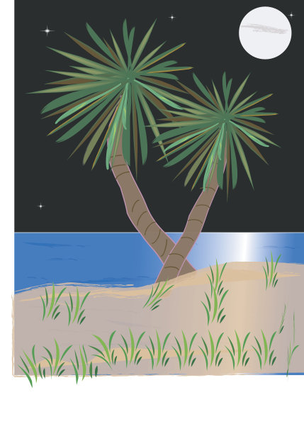 棕榈滩图片下载